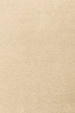 Ковровое покрытие AW Oinone 34 - (5м) в Иркутске