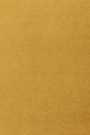 Ковровое покрытие AW Oinone 54 - (4м) в Иркутске