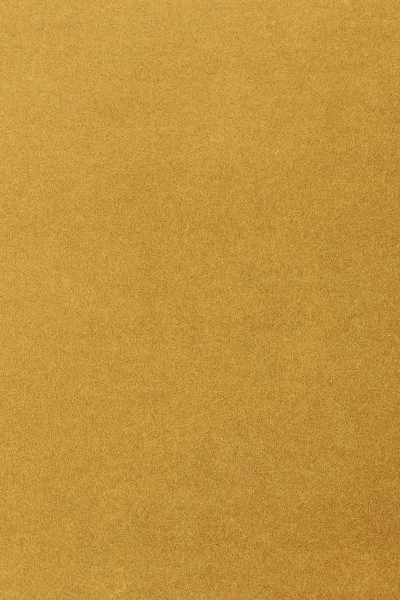 Ковровое покрытие AW Oinone 54 - (5м) в Иркутске