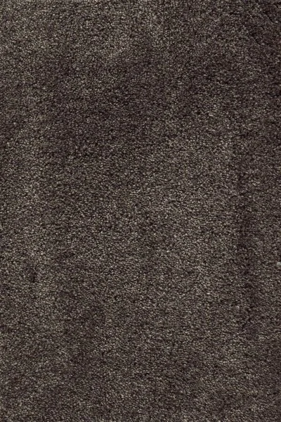 Ковровое покрытие AW Fedone 44 - (5м) в Иркутске