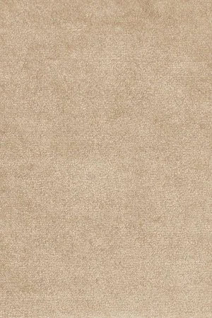 Ковровое покрытие AW Omphale 37 - (4м) в Иркутске