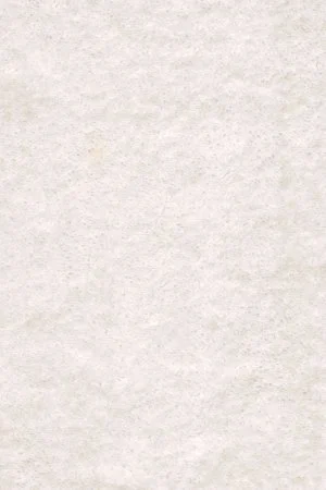 Ковровое покрытие AW Euphoria 03 - (4м) в Иркутске