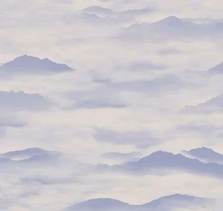 Обои Loymina Clair CLR4, 006 в Иркутске