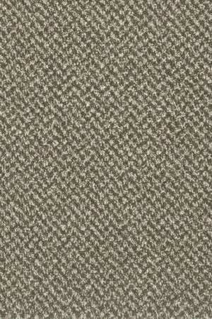 Ковровое покрытие AW Stainaway Tweed 24 - (4м) в Иркутске