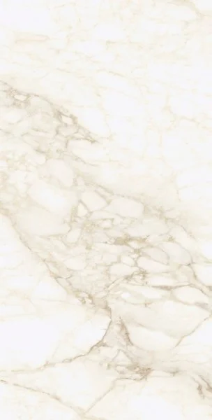 Керамогранит Coliseum Микеланджело Ворм 60х120 (Натуральный и Реттифицированный) в Иркутске