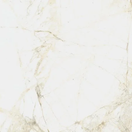 Керамогранит Coliseum Канова Уайт 60х60 (Натуральный и Реттифицированный) в Иркутске