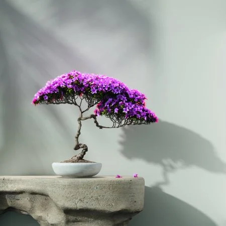 Обои Loymina Lotus LOT1 112 в Иркутске