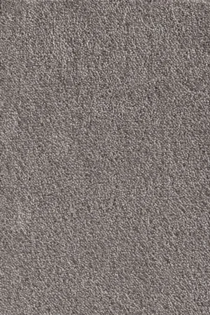 Ковровое покрытие AW Messalina 49 - (5м) в Иркутске