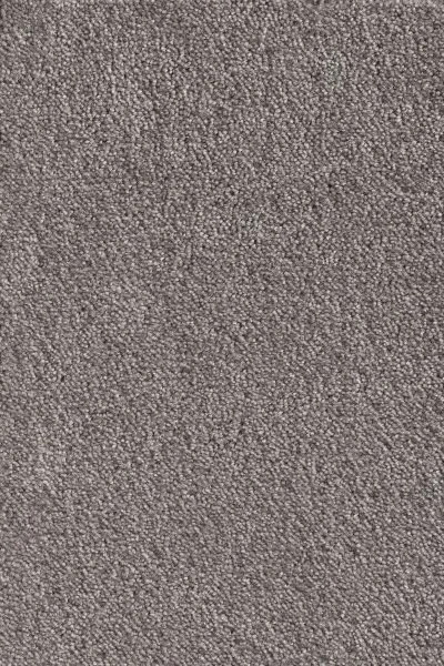 Ковровое покрытие AW Messalina 49 - (5м) в Иркутске