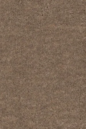 Ковровое покрытие AW Euphoria 36 - (4м) в Иркутске