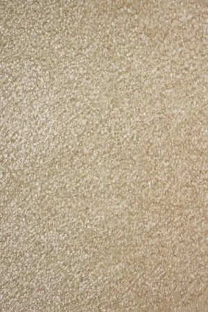 Ковровое покрытие AW Euphoria 33 - (4м) в Иркутске