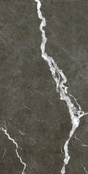 Керамогранит Coliseum Микеланджело Дарк 60х120 (Натуральный и Реттифицированный) в Иркутске