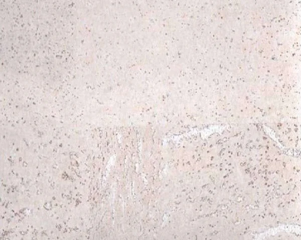 Настенное пробковое покрытие CorkArt PW 386 WS в Иркутске