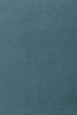 Ковровое покрытие AW Oinone 74 - (4м) в Иркутске