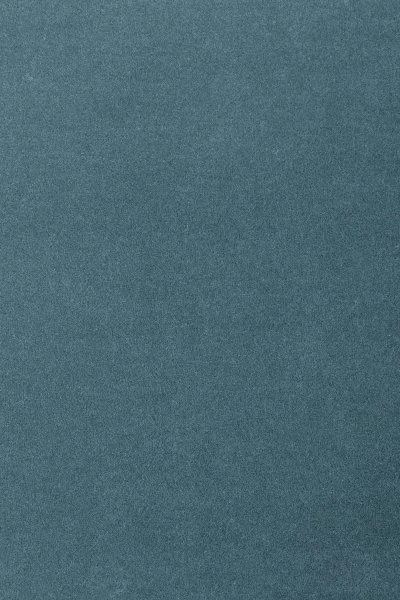 Ковровое покрытие AW Oinone 74 - (5м) в Иркутске