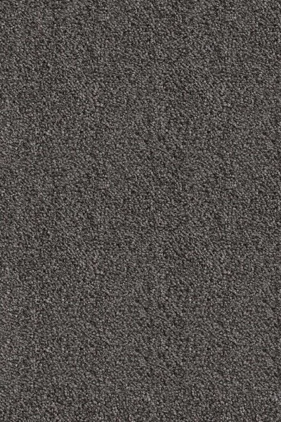 Ковровое покрытие AW Messalina 99 - (5м) в Иркутске