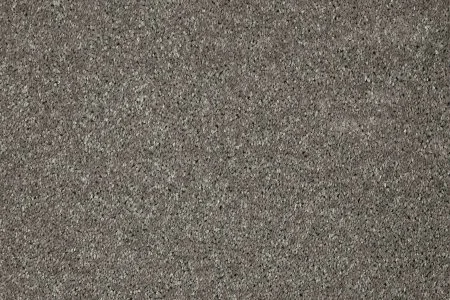 Ковровое покрытие AW Gala 94 - (5м) в Иркутске