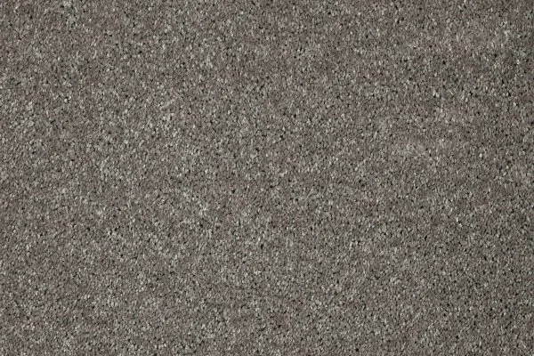 Ковровое покрытие AW Gala 94 - (5м) в Иркутске