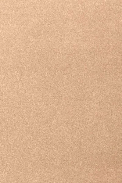 Ковровое покрытие AW Oinone 08 - (4м) в Иркутске