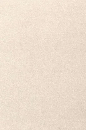 Ковровое покрытие AW Oinone 03 - (5м) в Иркутске