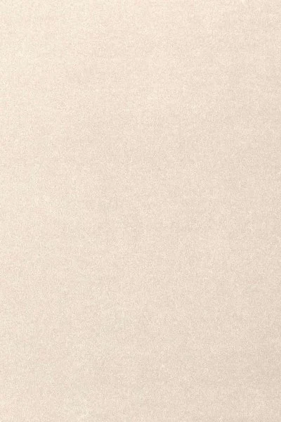 Ковровое покрытие AW Oinone 03 - (5м) в Иркутске