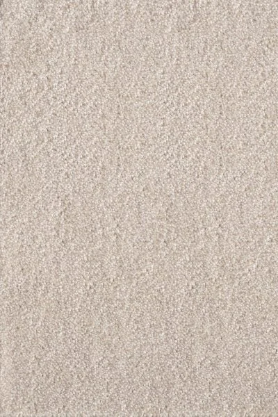 Ковровое покрытие AW Messalina 34 - (5м) в Иркутске