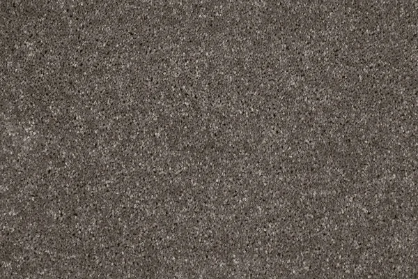 Ковровое покрытие AW Gala 49 - (4м) в Иркутске