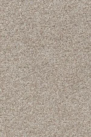 Ковровое покрытие AW Stainguard Harvest 04 - (4м) в Иркутске