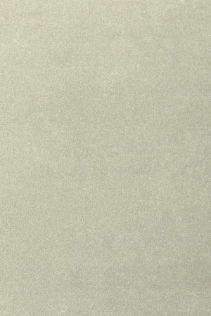 Ковровое покрытие AW Oinone 02 - (4м) в Иркутске