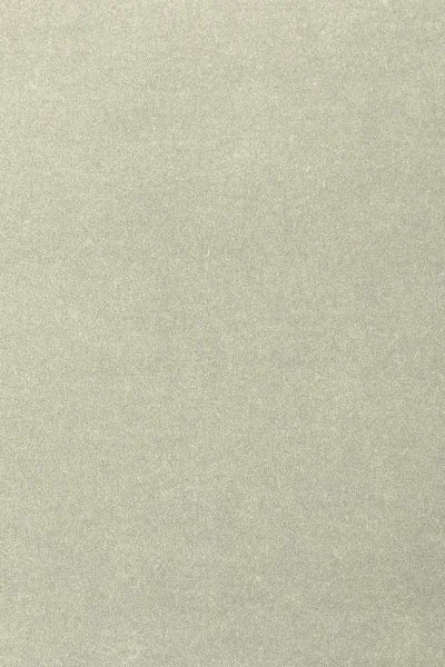 Ковровое покрытие AW Oinone 02 - (4м) в Иркутске