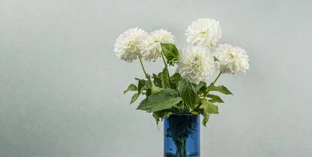 Обои Loymina Shade vol.2 SDR5, 001 в Иркутске