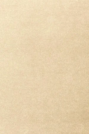 Ковровое покрытие AW Oinone 33 - (5м) в Иркутске