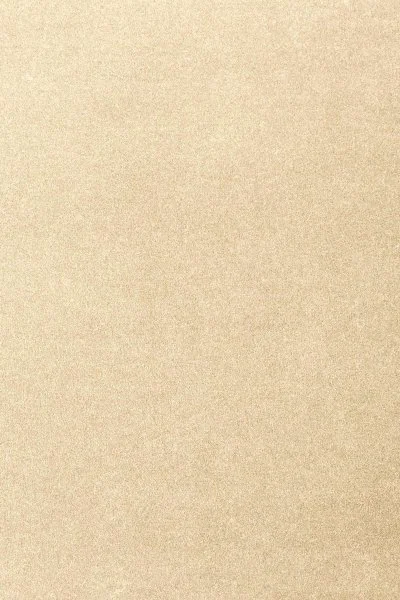 Ковровое покрытие AW Oinone 33 - (4м) в Иркутске