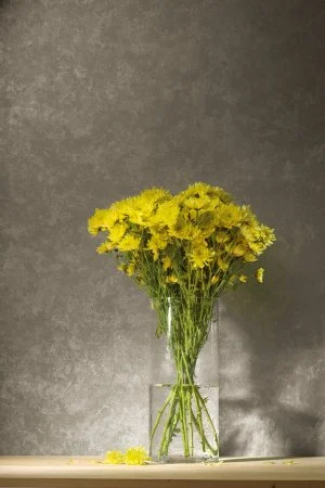 Обои Loymina Golden Library TDG 7, 008 в Иркутске