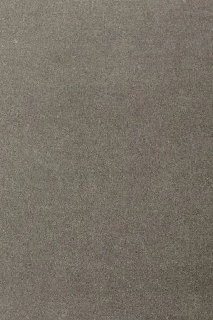 Ковровое покрытие AW Oinone 95 - (5м) в Иркутске