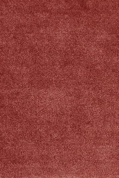 Ковровое покрытие AW Omphale 10 - (5м) в Иркутске