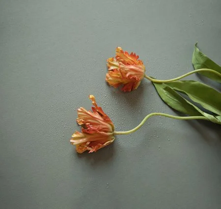 Обои Loymina Russian Classic Ru10, 006 в Иркутске