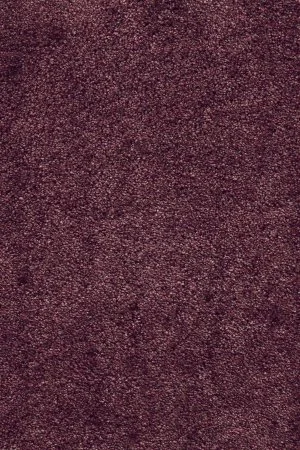 Ковровое покрытие AW Fedone 19 - (5м) в Иркутске