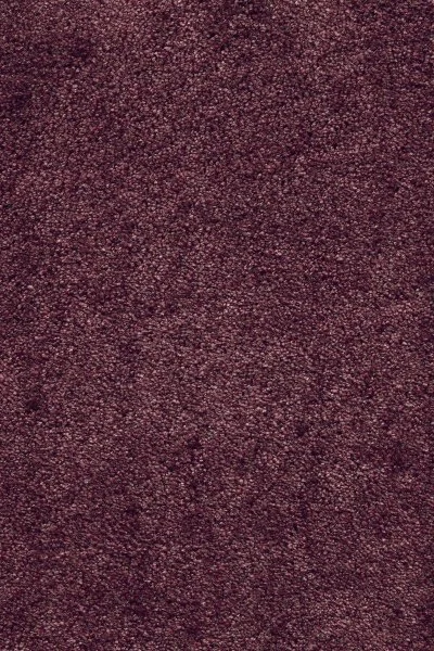 Ковровое покрытие AW Fedone 19 - (5м) в Иркутске