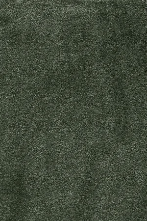 Ковровое покрытие AW Fedone 24 - (5м) в Иркутске