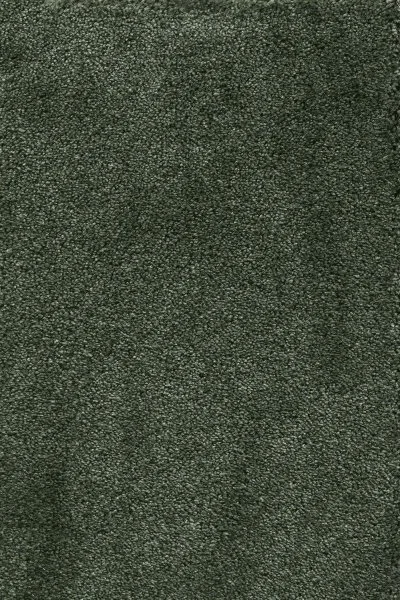 Ковровое покрытие AW Fedone 24 - (5м) в Иркутске