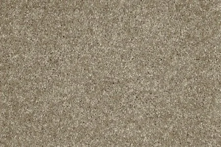 Ковровое покрытие AW Gala 33 - (5м) в Иркутске