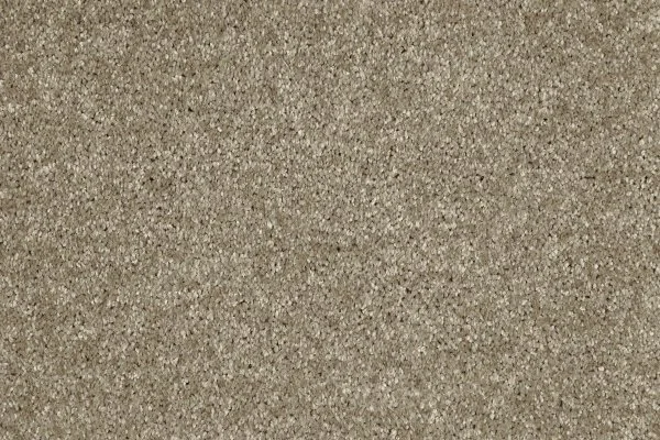 Ковровое покрытие AW Gala 33 - (4м) в Иркутске