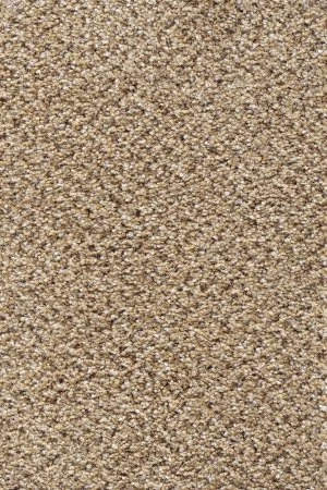 Ковровое покрытие AW Stainaway Tweed 50 - (4м) в Иркутске
