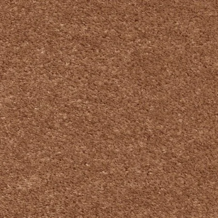 Ковровое покрытие AW Euphoria 84 - (4м) в Иркутске