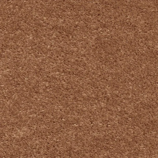 Ковровое покрытие AW Euphoria 84 - (5м) в Иркутске