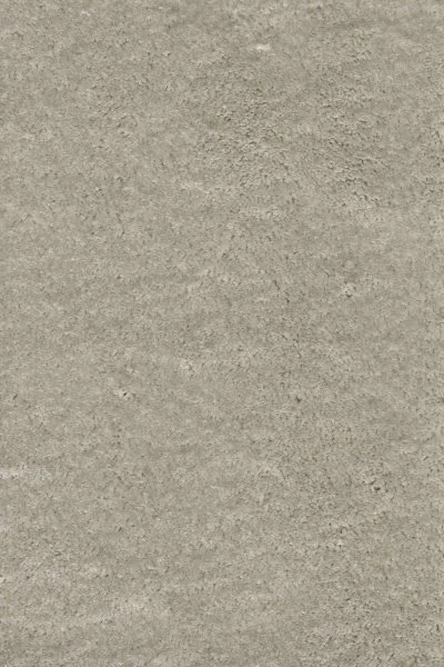 Ковровое покрытие AW Fedone 90 - (4м) в Иркутске