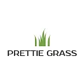 Искусственная трава Prettie Grass купить в Иркутске по выгодной цене Искусственная трава Prettie Grass в Иркутске