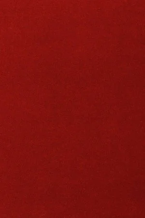 Ковровое покрытие AW Oinone 10 - (4м) в Иркутске