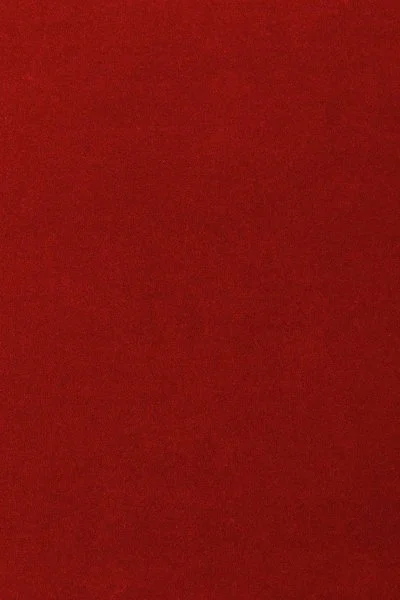 Ковровое покрытие AW Oinone 10 - (5м) в Иркутске